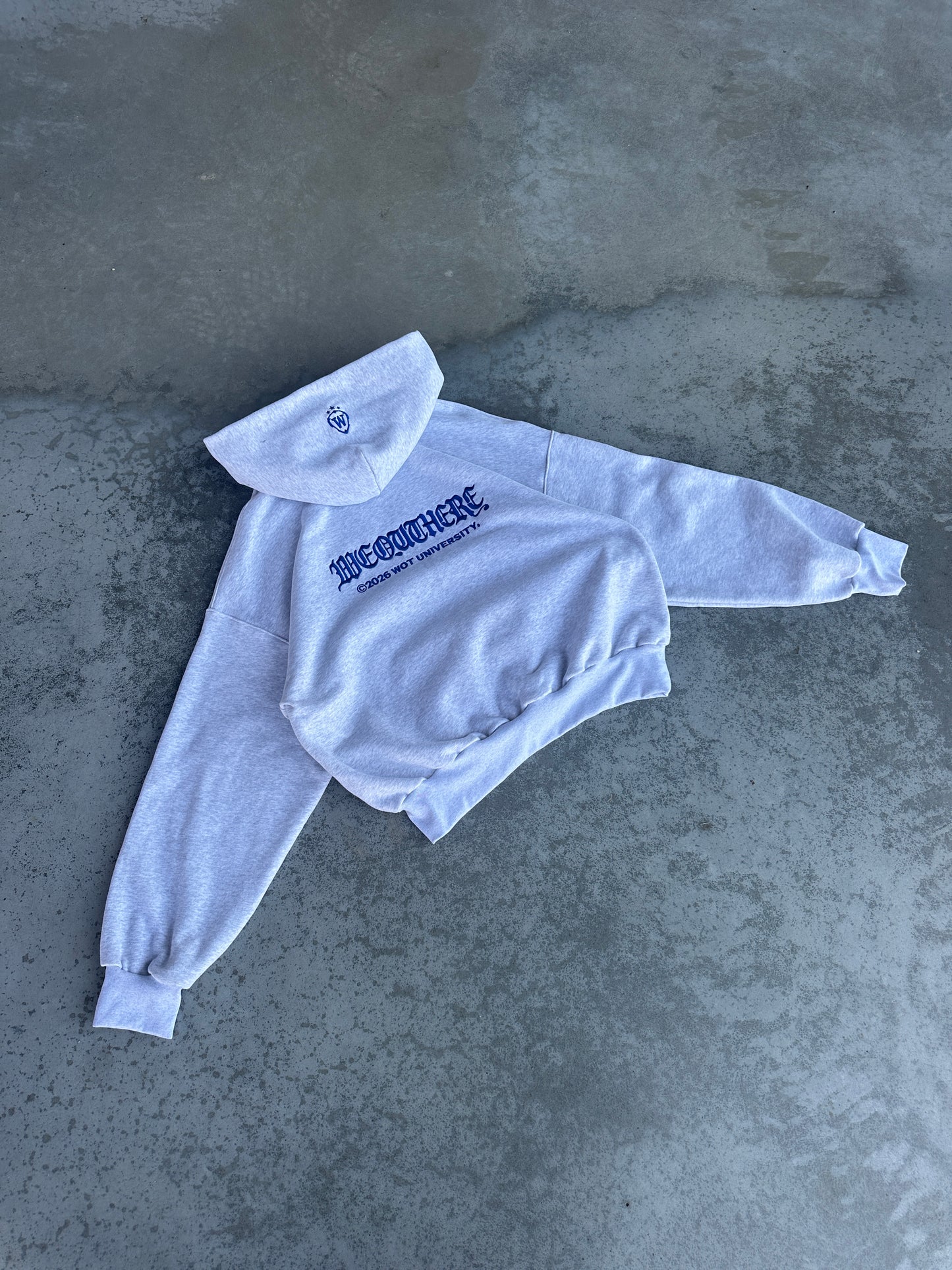 Hoodie Uni [Cinzento Claro/Azul Marinho]