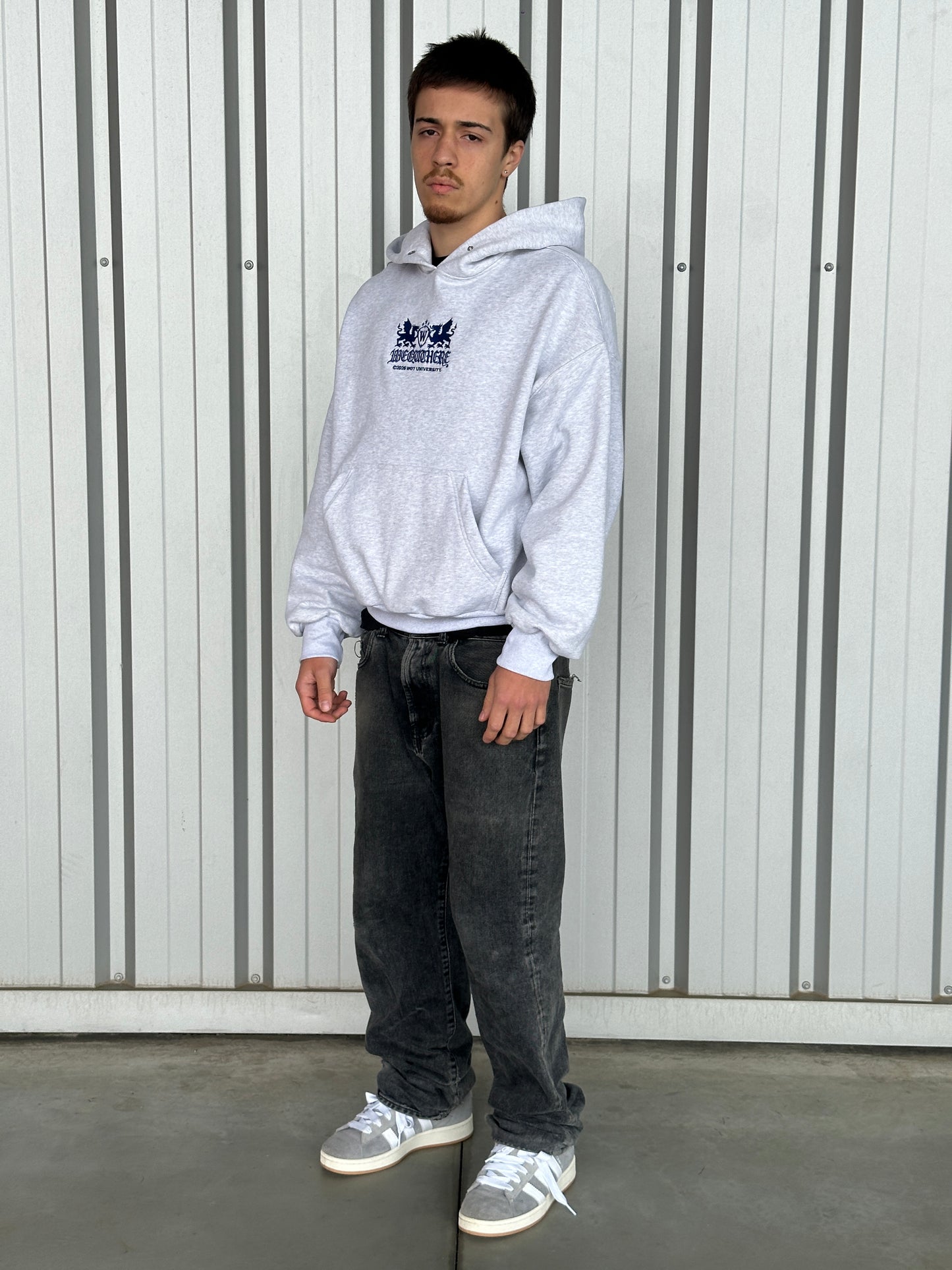 Hoodie Uni [Cinzento Claro/Azul Marinho]